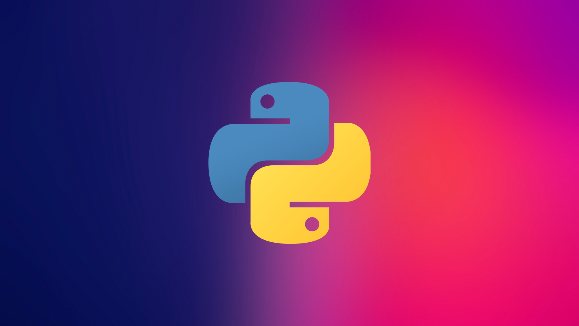 Python Programmer