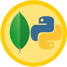 python development company 